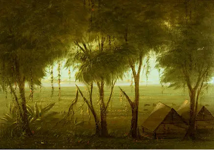 Un pueblo de Connibo - George Catlin