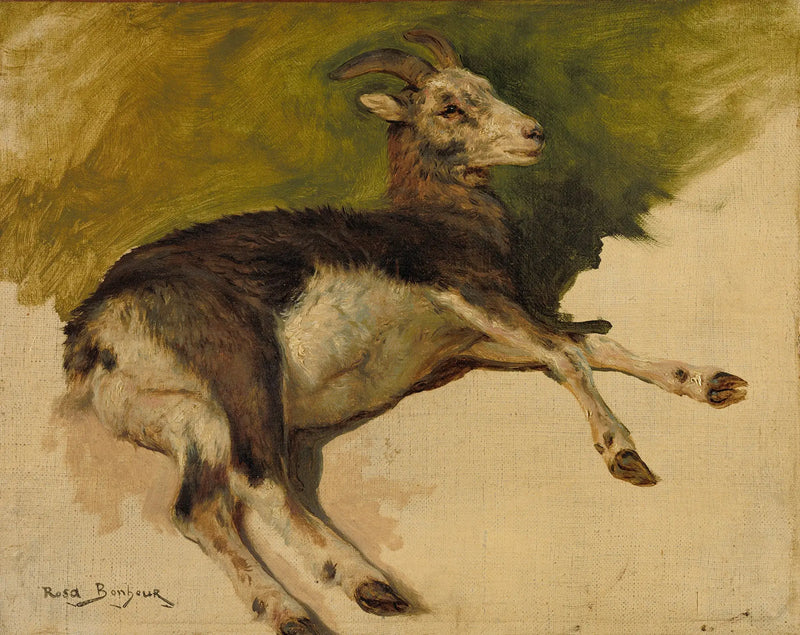 Una cabra - Rosa Bonheur