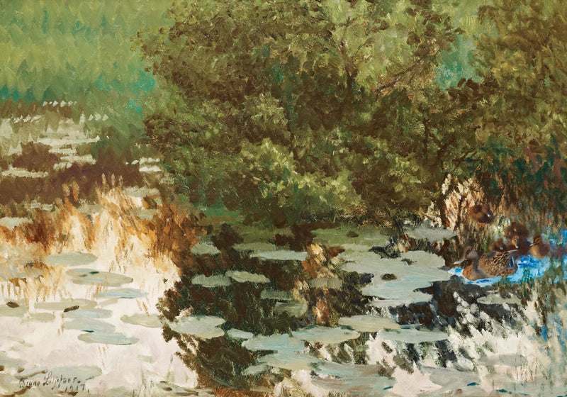 Una familia de patos entre los nenúfares. - Bruno Liljefors