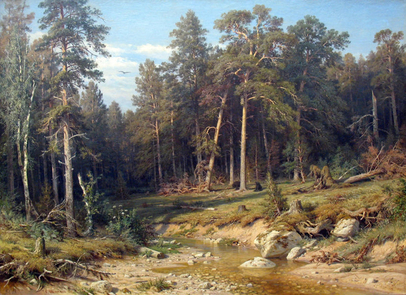 Un bosque de pinos. Bosque de mástiles en la provincia de Viatka. - Ivan Chichkine