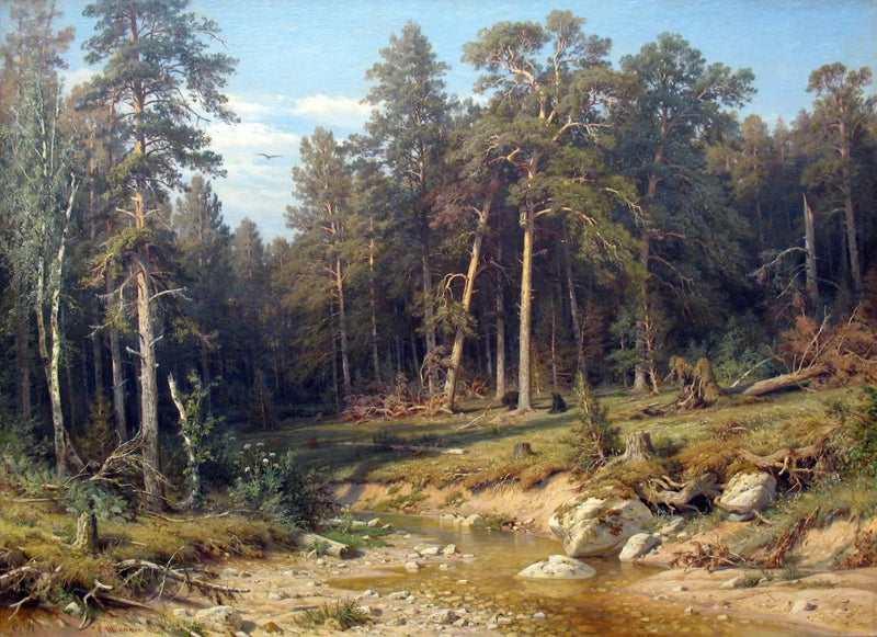 Un bosque de pinos. Bosque de mástiles en la provincia de Viatka. - Ivan Chichkine