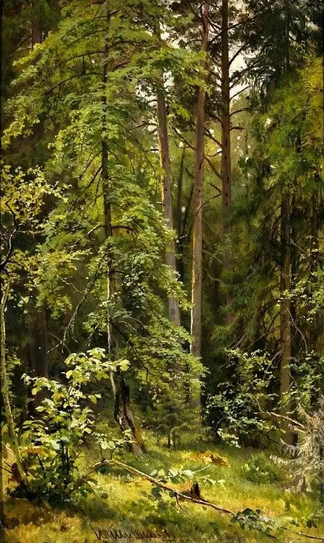 Un bosque - Ivan Chichkine
