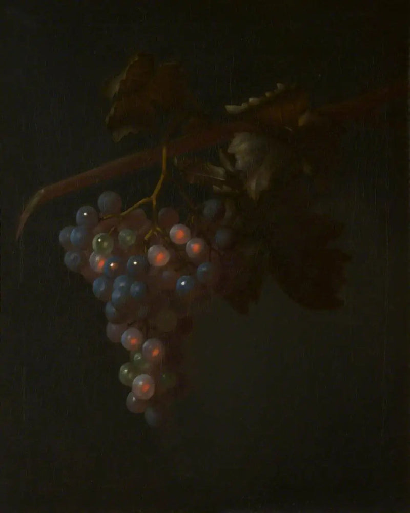 Un racimo de uvas - Tobias Stranover