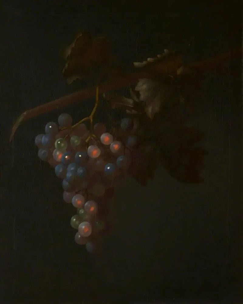 Un racimo de uvas - Tobias Stranover