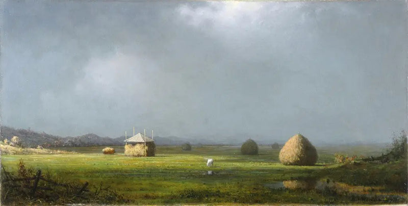 Un día nublado - Martin Johnson Heade