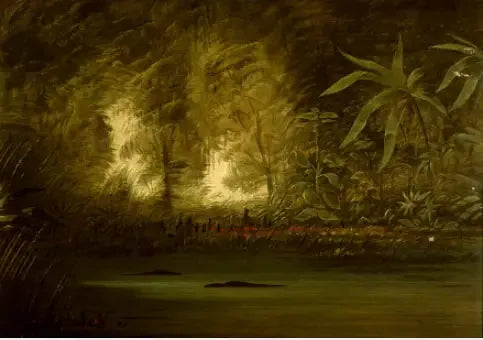 Una laguna del Alto Amazonas - George Catlin