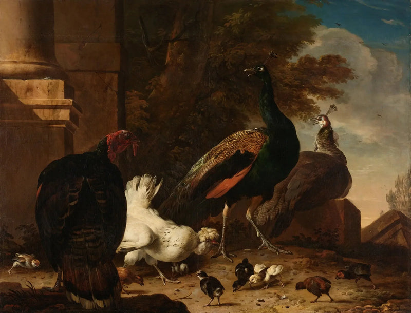 Una gallina con pavos reales y un pavo - Melchior de Hondecoeter