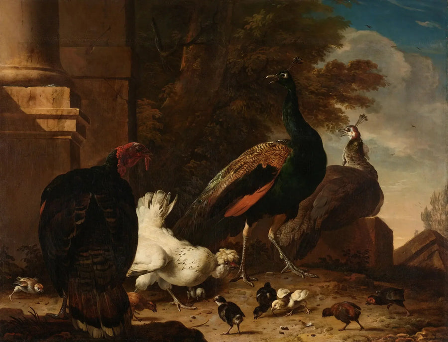 Una gallina con pavos reales y un pavo - Melchior de Hondecoeter