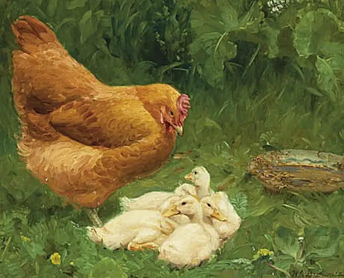 Una gallina y algunos patitos. - H. A. Brendekilde