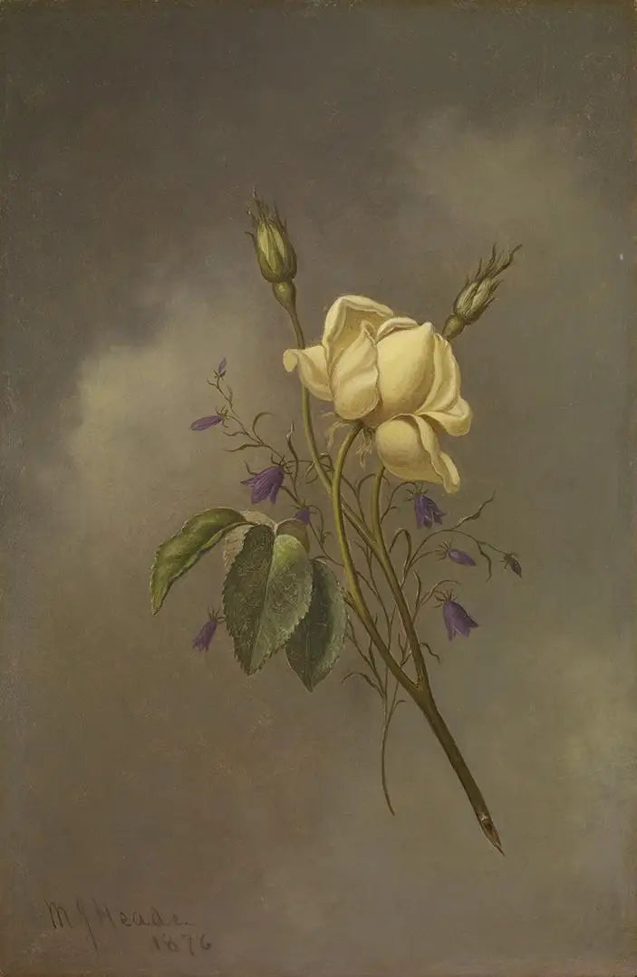 Una rosa amarilla contra un cielo nublado - Martin Johnson Heade