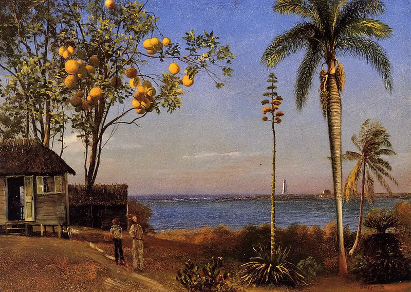 Una vista en las Bahamas, óleo sobre papel marouflé sobre lienzo, 48,58 x 35,24 cm - Albert Bierstadt