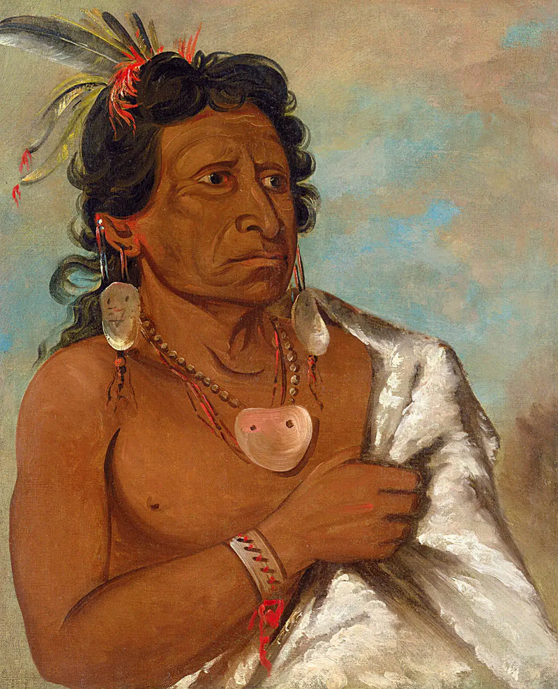 U'sh-ee-kitz, Aquel que lucha con una pluma, jefe de la tribu - George Catlin