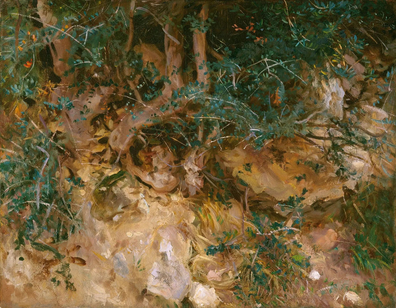 Valldemosa, Mallorca: cardos y hierbas en una colina - John Singer Sargent