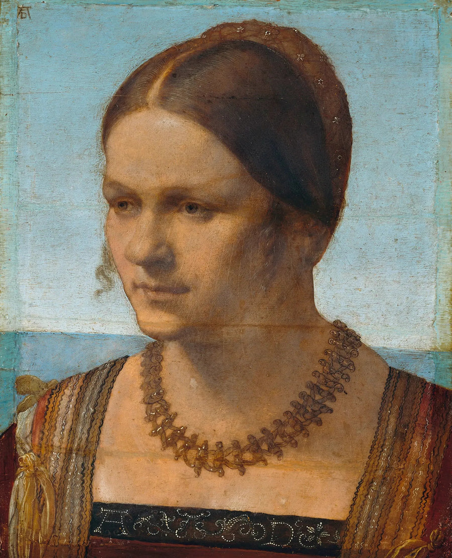 Veneciana - Albrecht Dürer