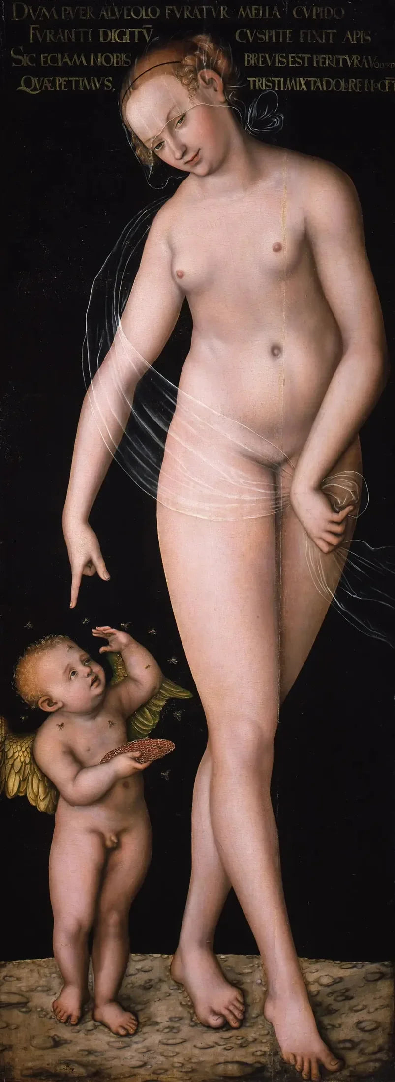 Venus con Cupido, el ladrón de miel - Lucas Cranach el Viejo