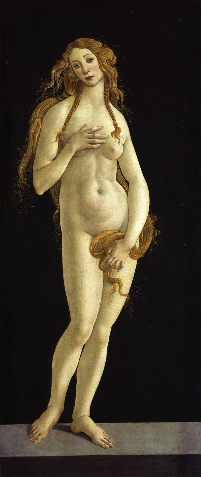 La modesta Venus, alrededor de 1490, atribuida a Sandro Botticelli