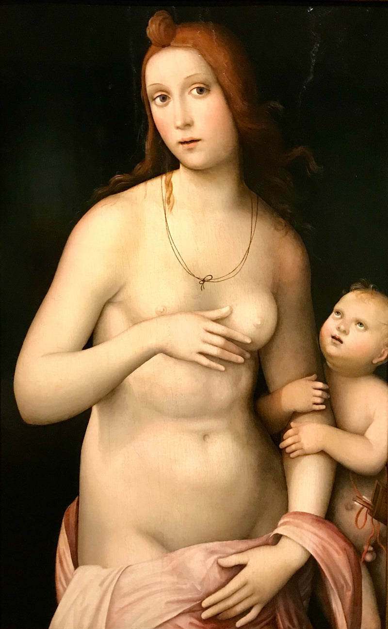 Venus y Cupido - Francesco Francia