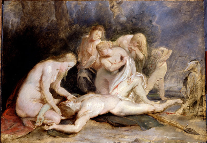 Venus llorando a Adonis - Peter Paul Rubens