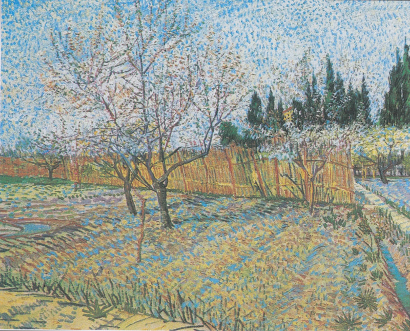 Huerto con cipreses - Vincent van Gogh