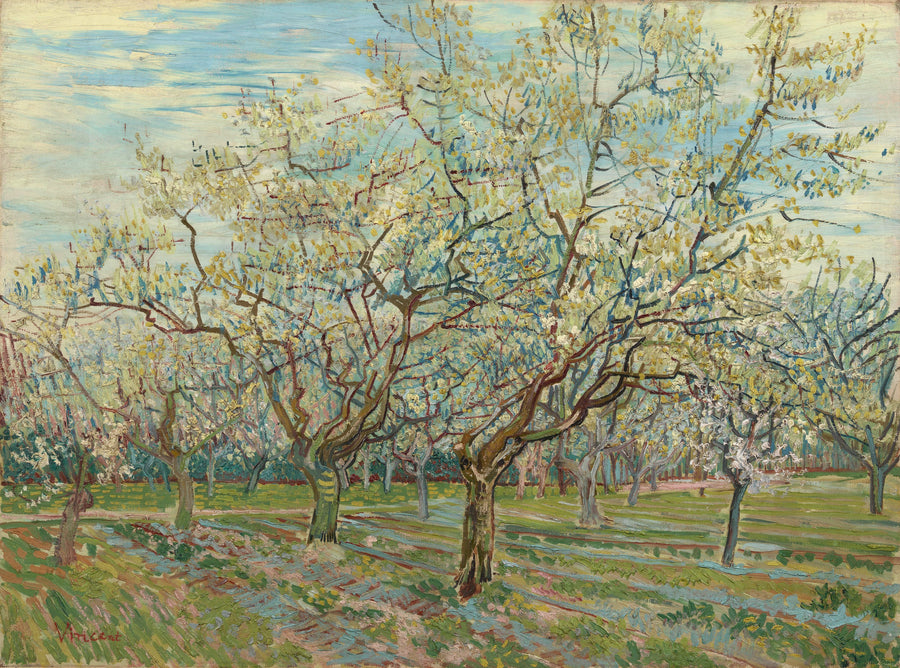 El huerto blanco - Vincent van Gogh
