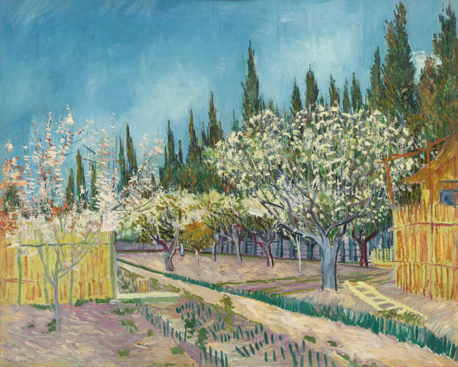 Huerto en flores, bordeado de cipreses - Vincent van Gogh