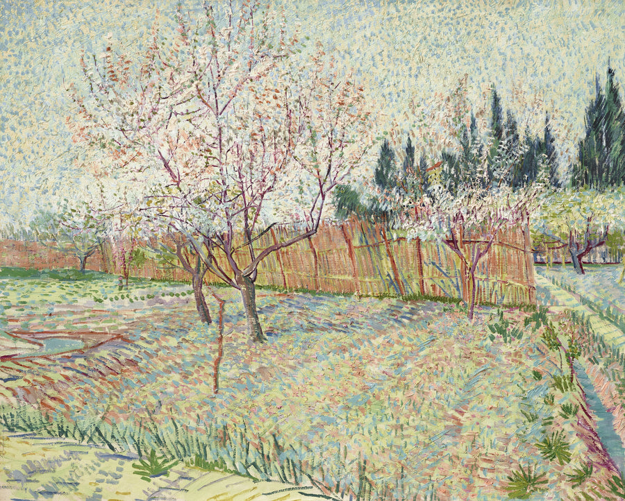 Huerto con cipreses - Vincent van Gogh