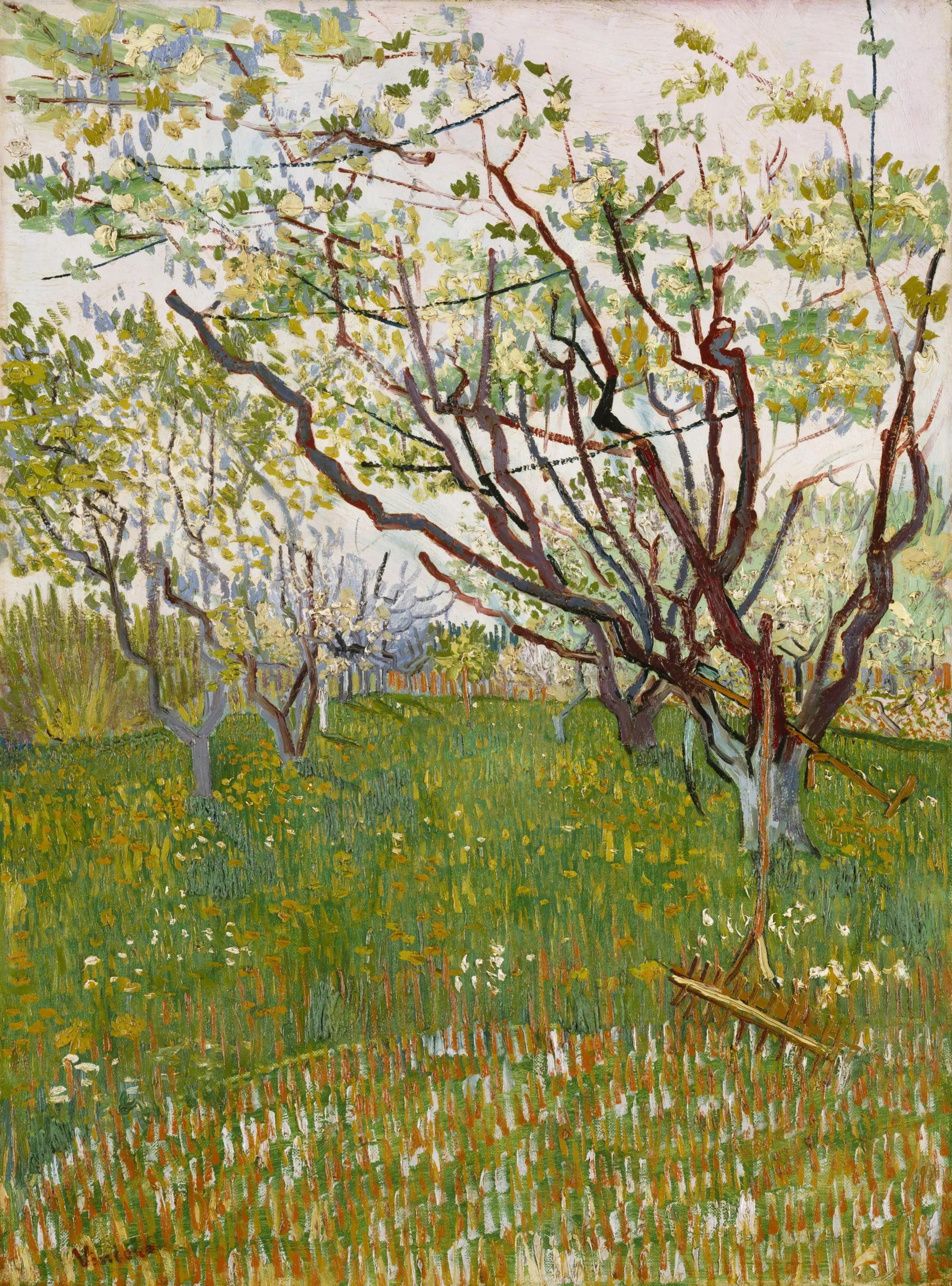 Verger en fleur - Vincent van Gogh image 1 reproduction de peinture à l’huile