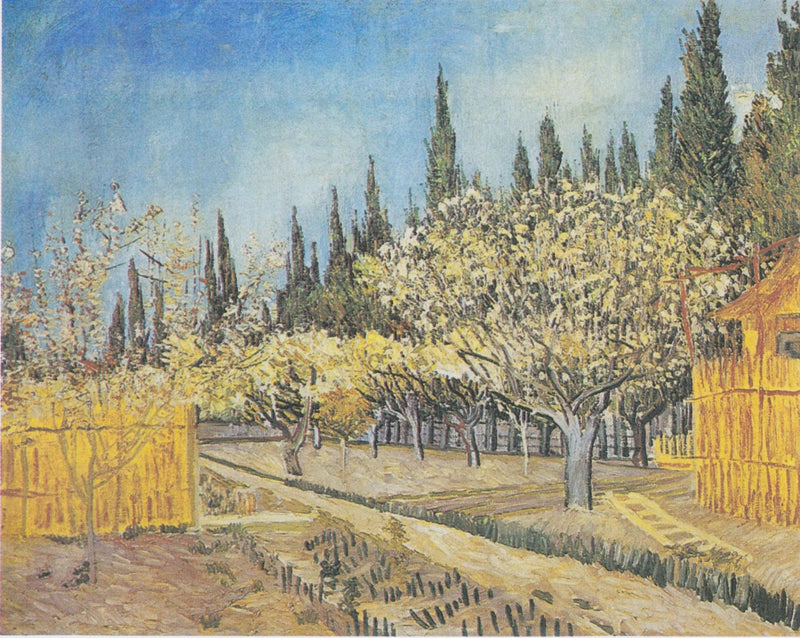 Huerto en flores, bordeado de cipreses - Vincent van Gogh