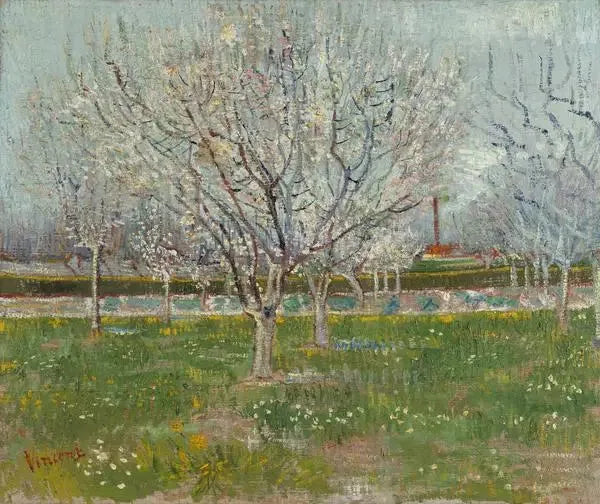 Huerto en flores - Vincent van Gogh