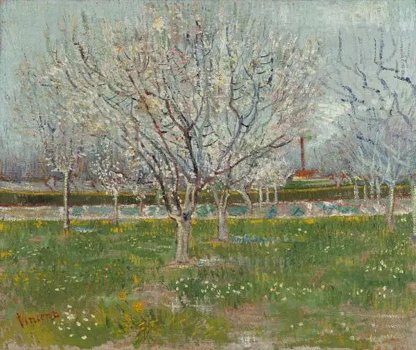 Huerto en flores - Vincent van Gogh