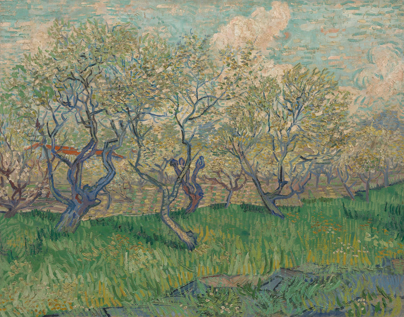 Huerto en flores - Vincent van Gogh