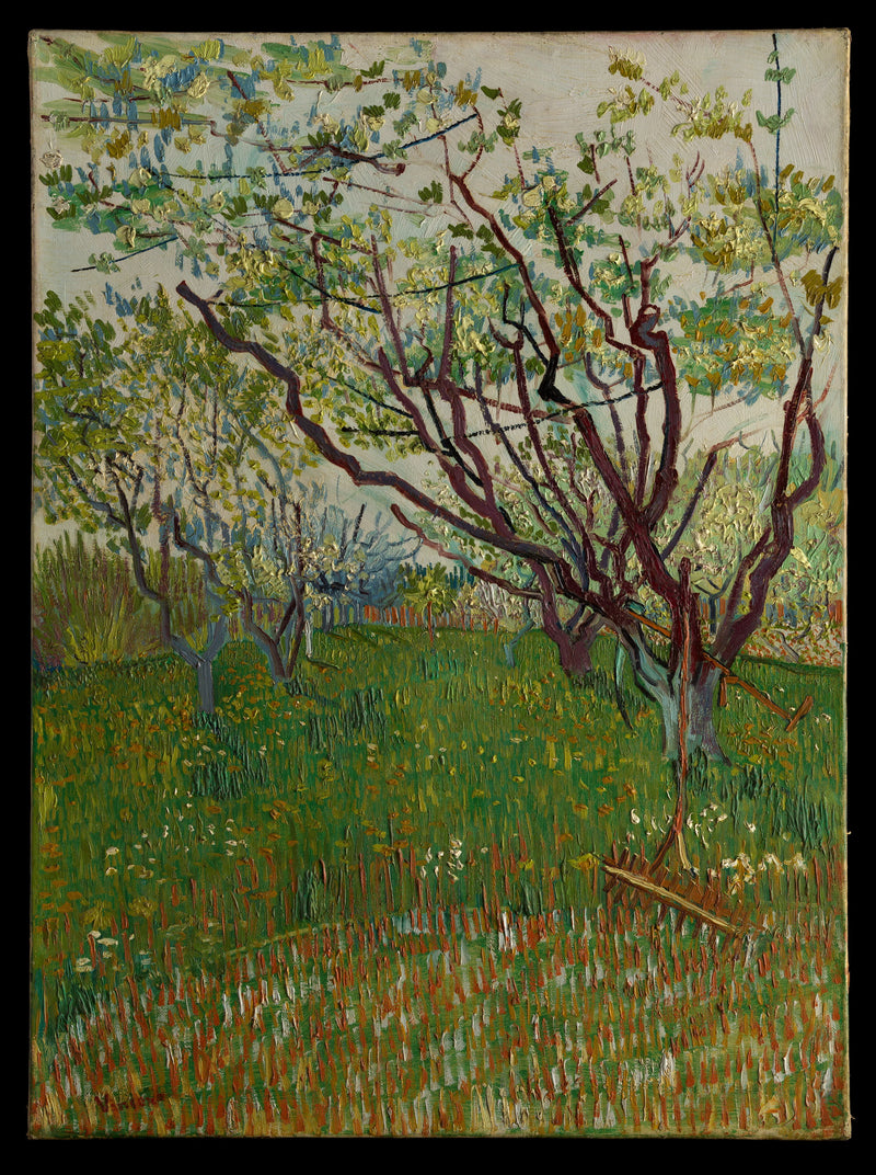 Huerto en flor - Vincent van Gogh