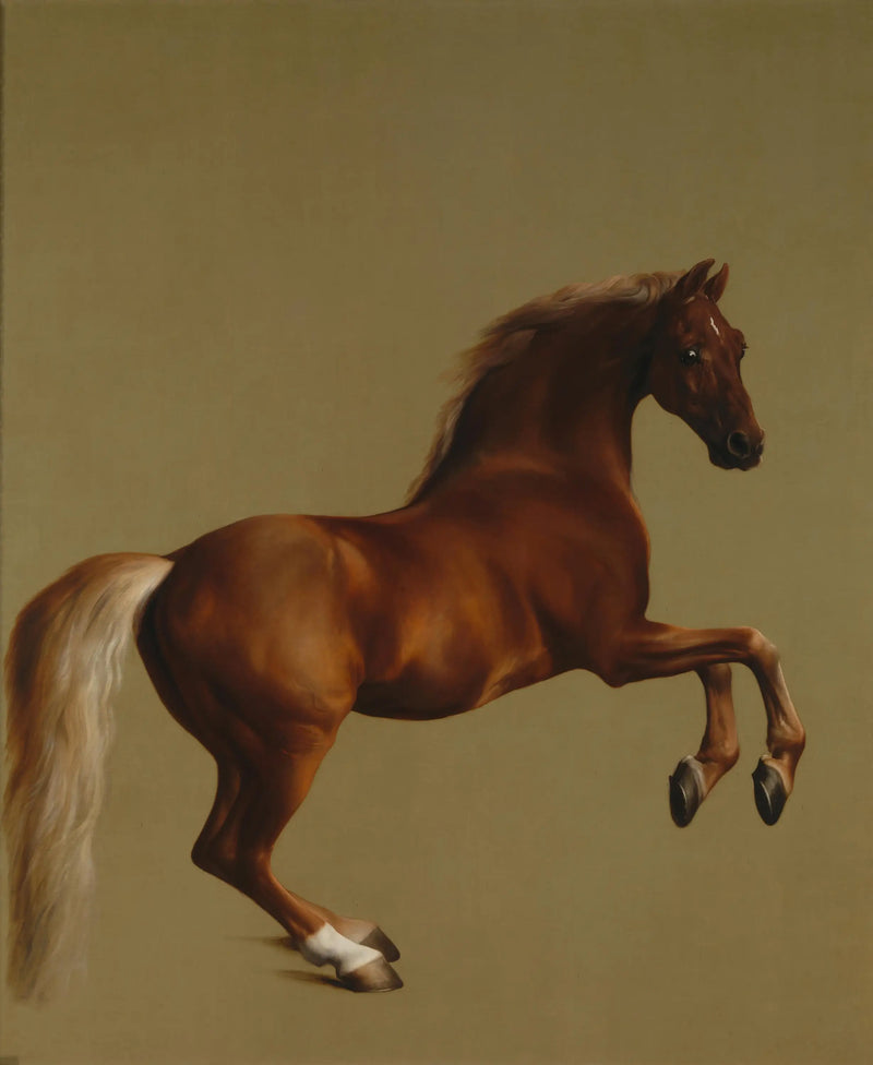 Chaqueta silbante - George Stubbs