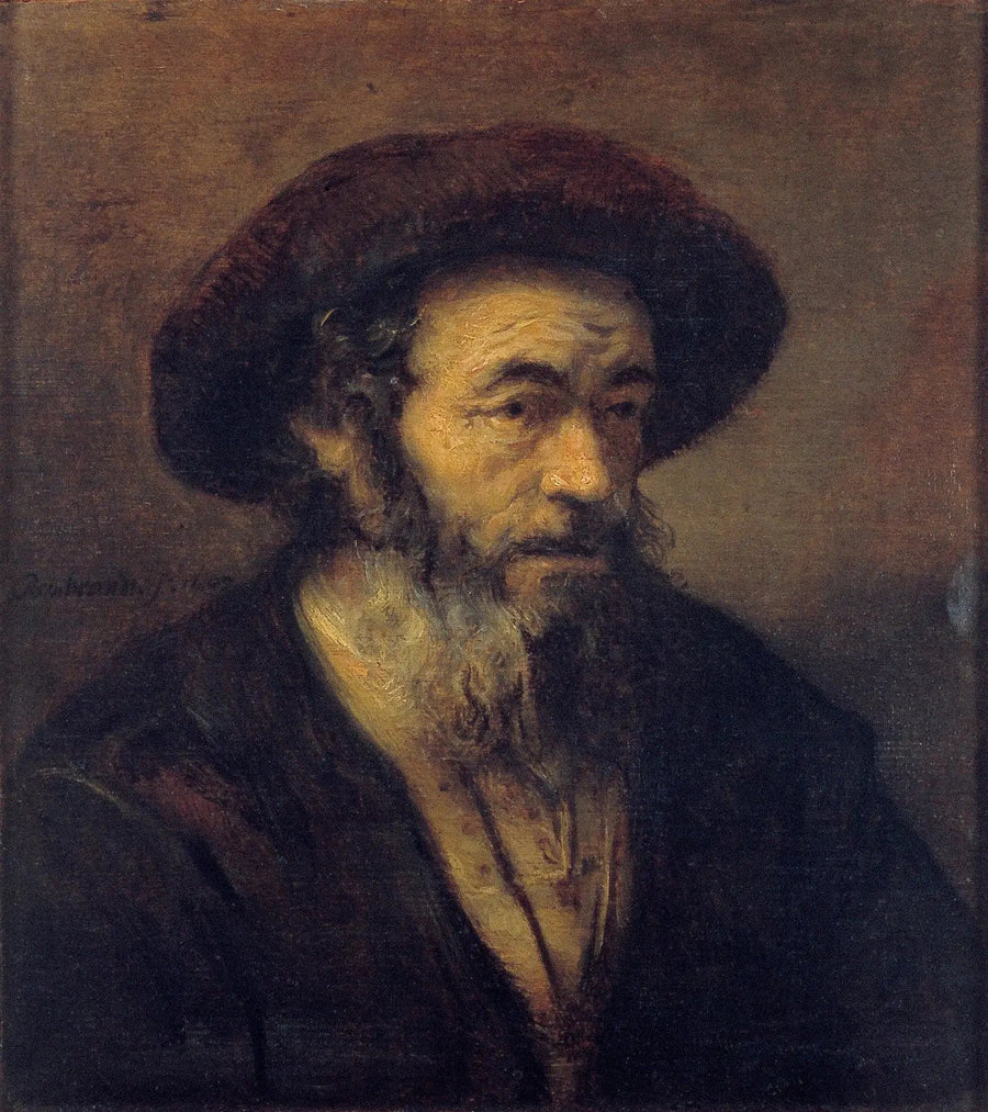 Viejo con barba mirando hacia la derecha - Rembrandt
