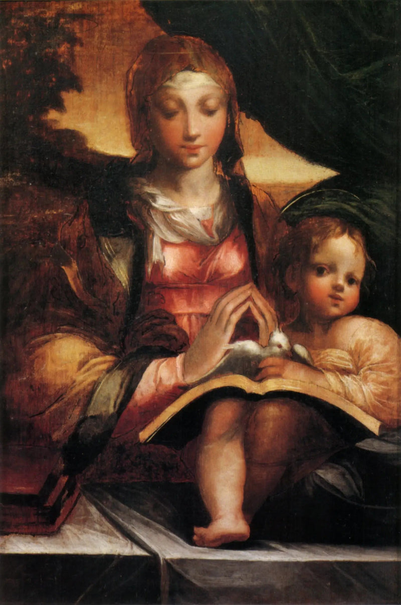 Virgen con el Niño - Parmigianino