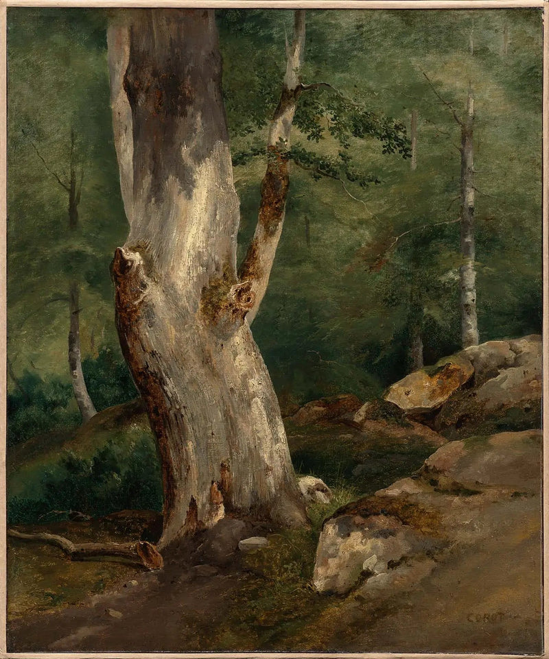 Haya viejo - Jean-Baptiste Camille Corot