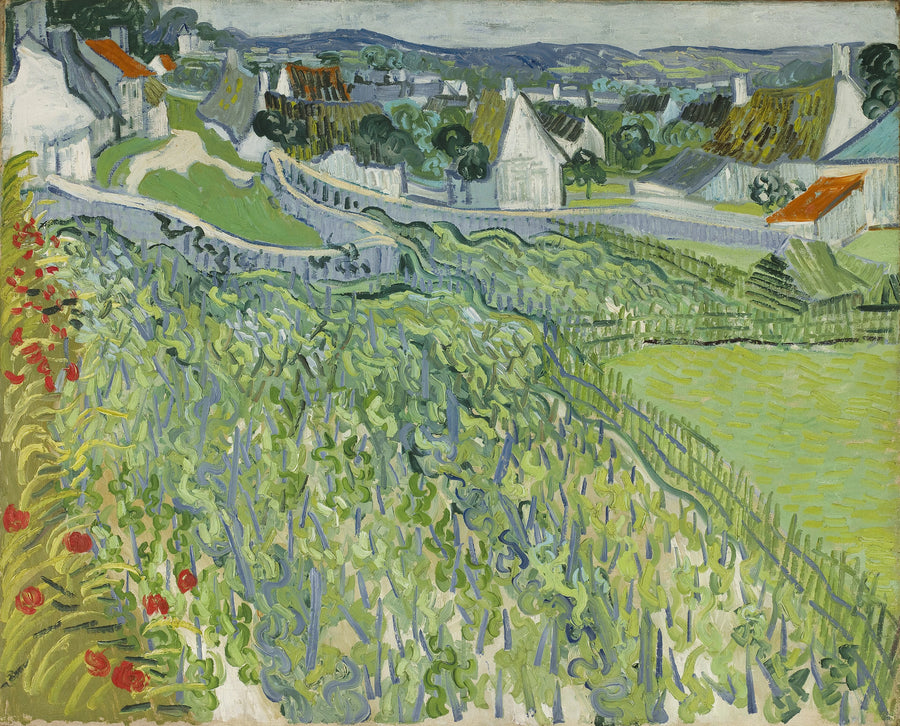 Viñedos de Auvers - Vincent van Gogh