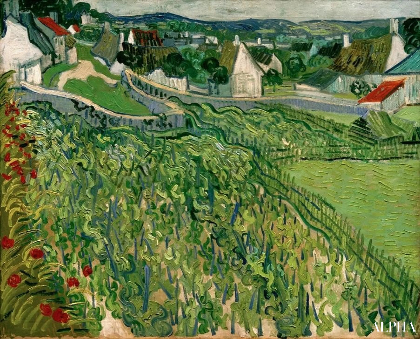 Vignobles d'Auvers - Van Gogh - Reproductions de tableaux et peintures haut de gamme