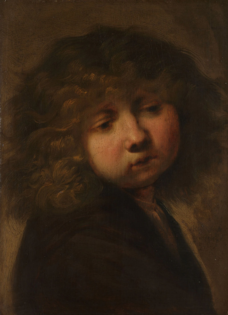Le visage du garçon - Artiste inconnu du Rijksmuseum