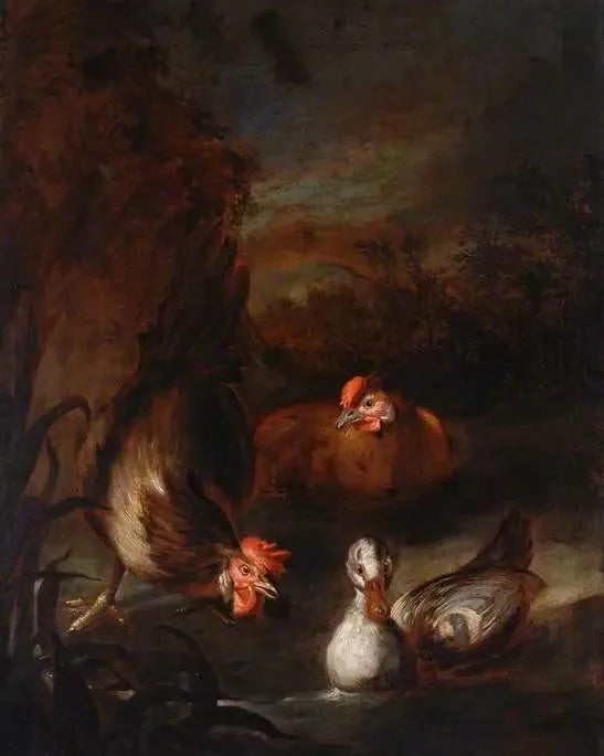 Aves de corral - Melchior de Hondecoeter