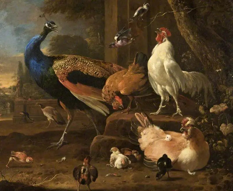 Aves de corral - Melchior de Hondecoeter