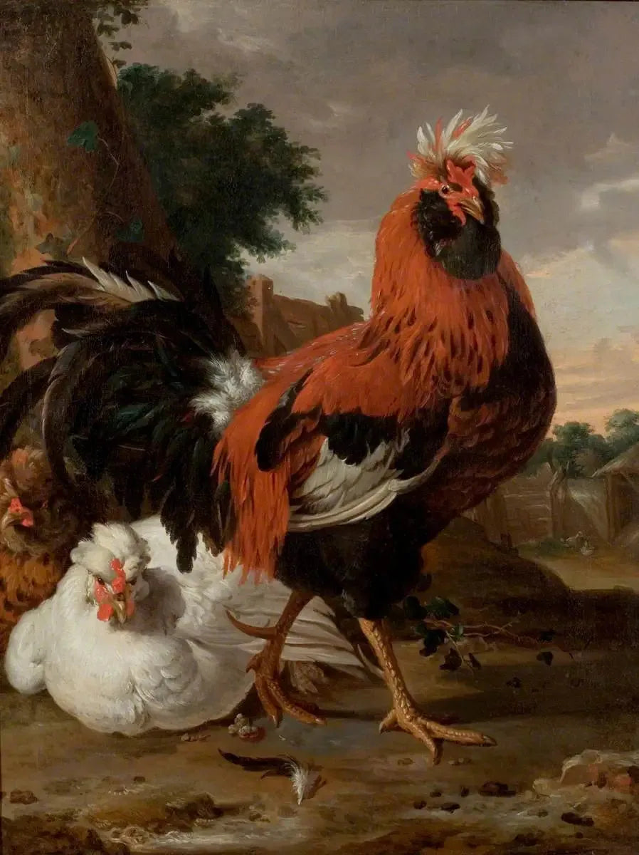 Aves de corral - Melchior de Hondecoeter