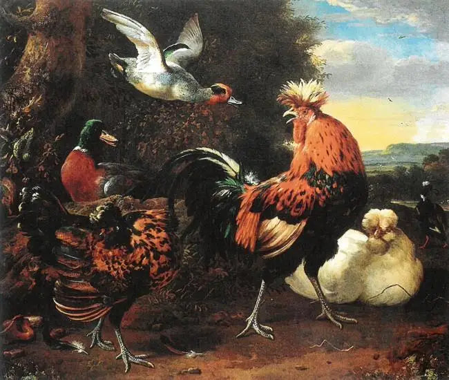 Aves de corral - Melchior de Hondecoeter