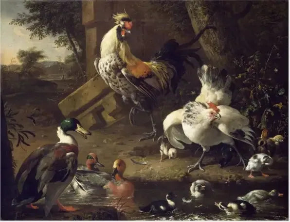 Aves de corral - Melchior de Hondecoeter