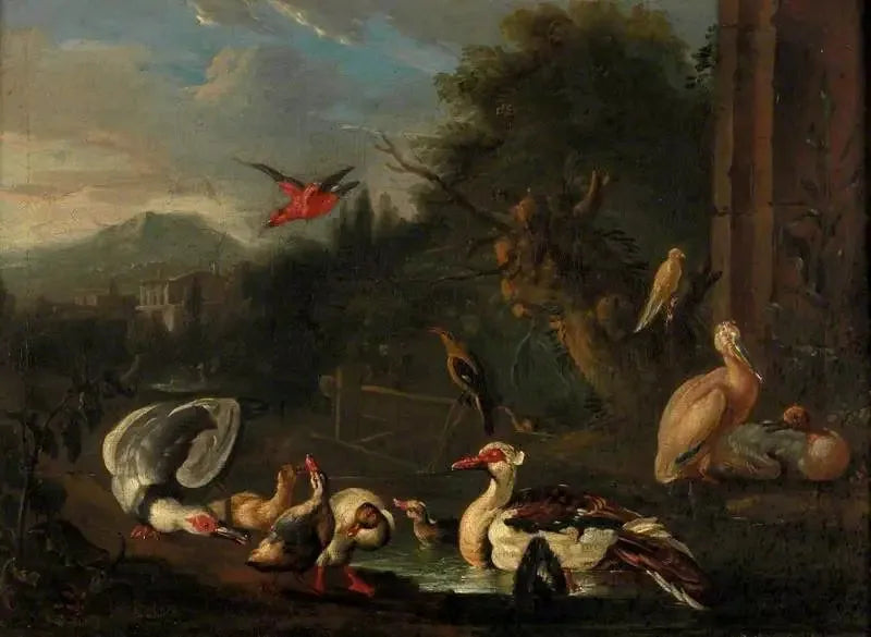Aves de corral - Melchior de Hondecoeter