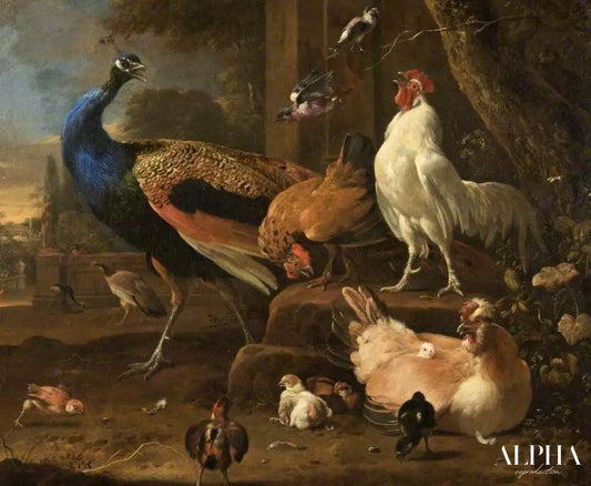 Volaille - Melchior d'Hondecoeter - Reproductions de tableaux et peintures haut de gamme