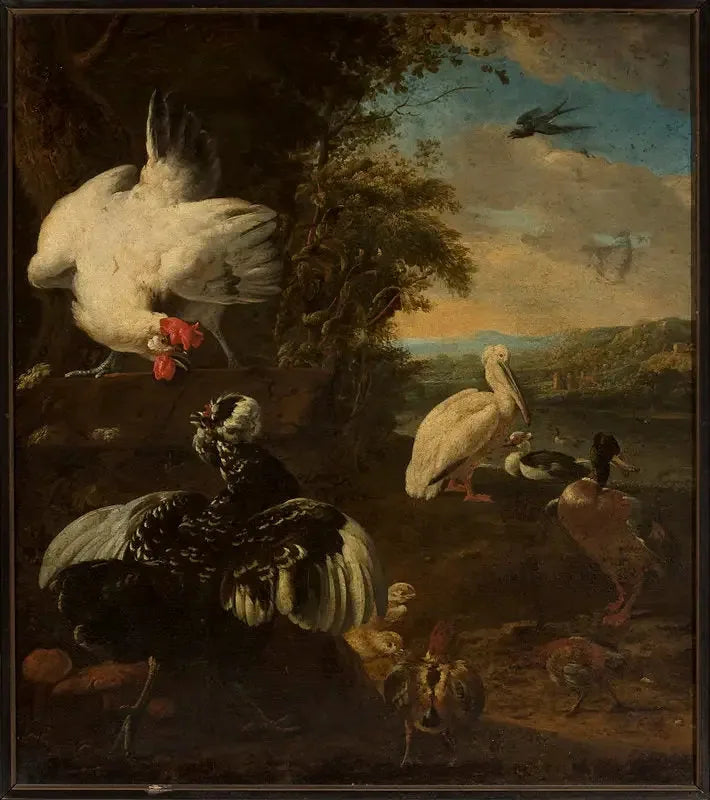 Aves de corral domésticas - Melchior de Hondecoeter
