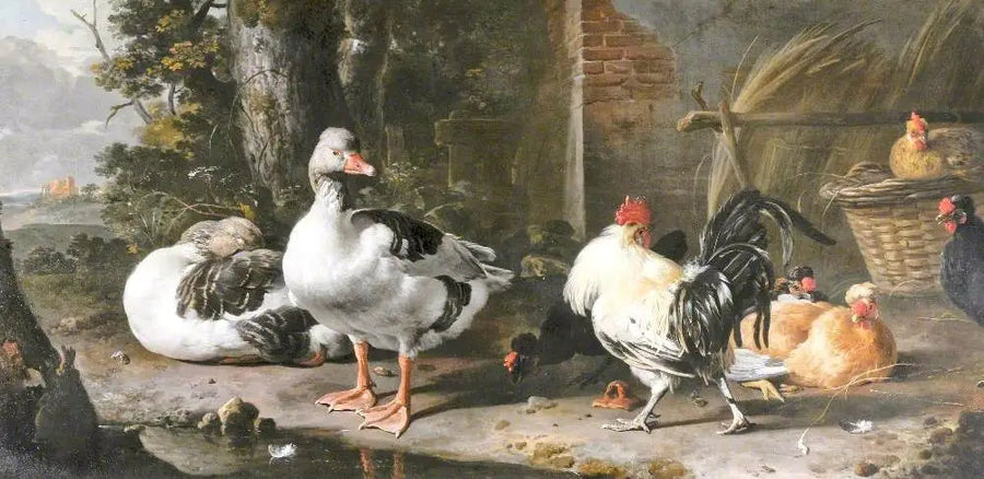 Aves de corral y ocas - Melchior de Hondecoeter