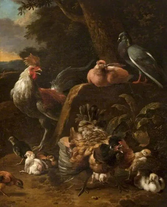 Aves de corral y palomas - Melchior de Hondecoeter