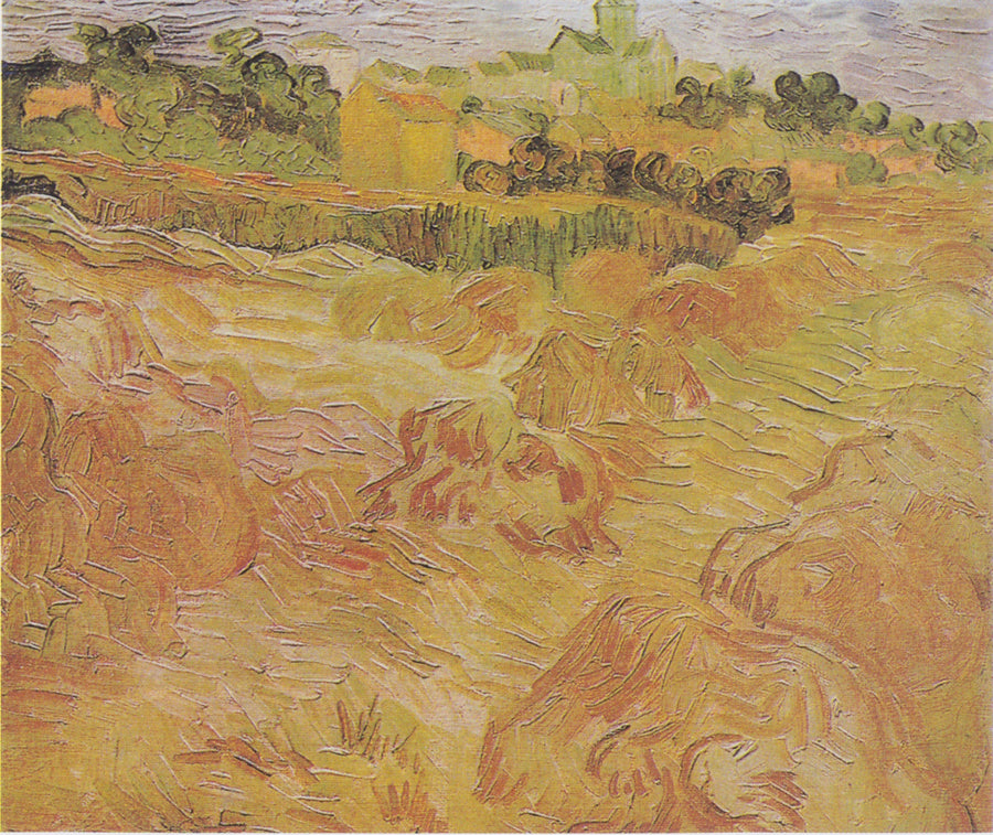 Campos de trigo con Auvers al fondo - Vincent van Gogh